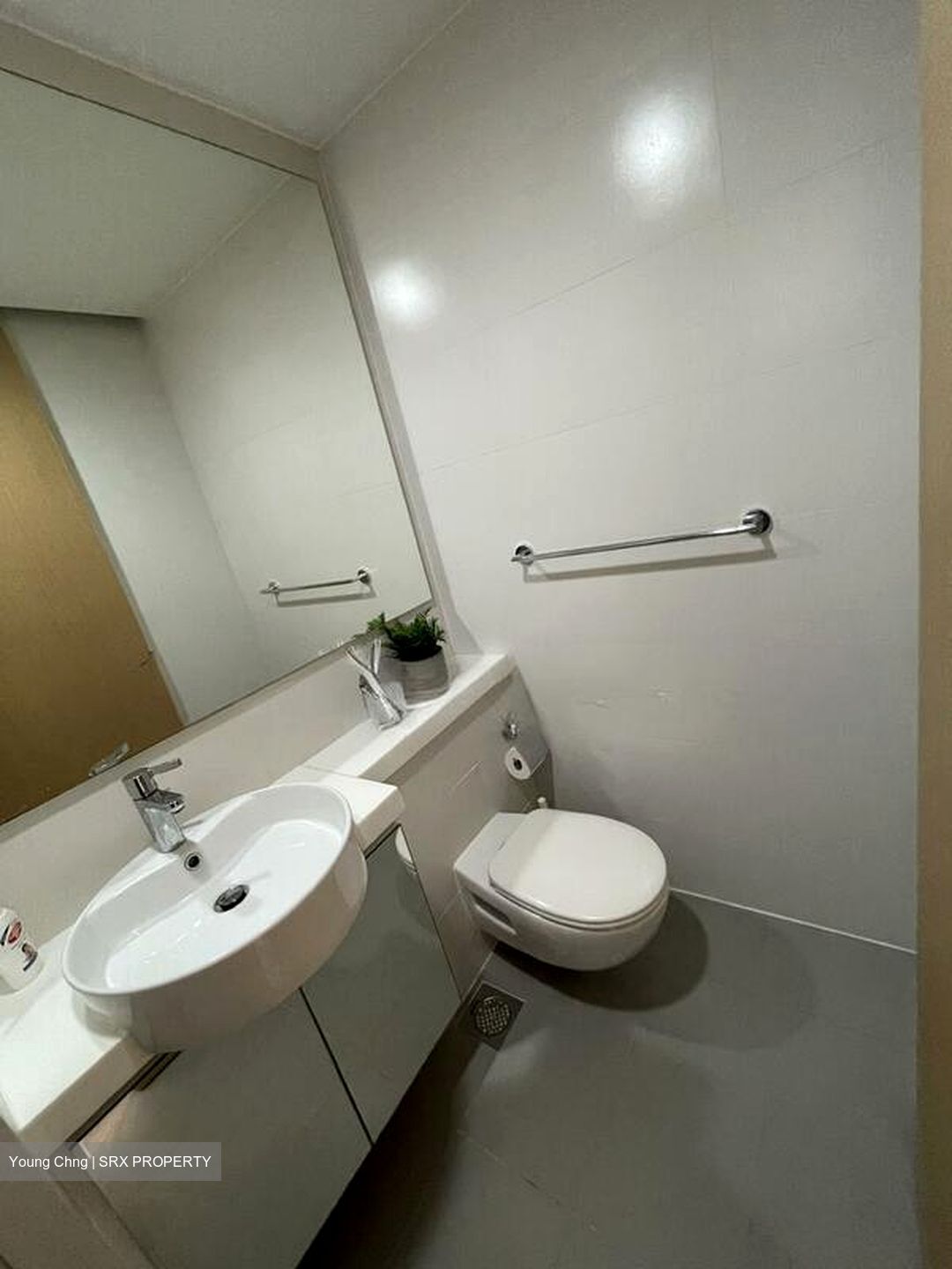 The Regency At Tiong Bahru (D3), Condominium #511930031